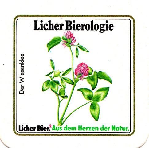 lich gi-he licher biero blu fass 4b (quad185-der wiesenklee) 